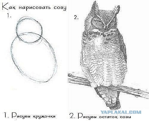 Учимся делать китайские пельмени