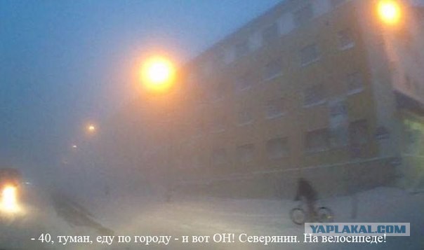 Страх и ненависть в России