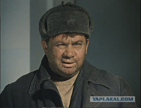 Персональные фотографии животных.