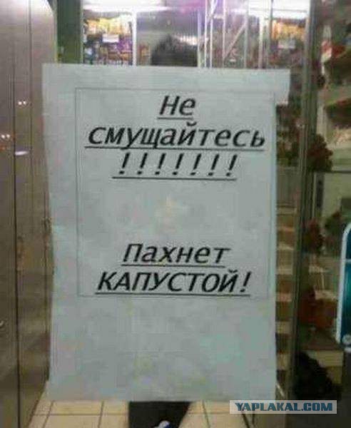 Немного картинок из сети