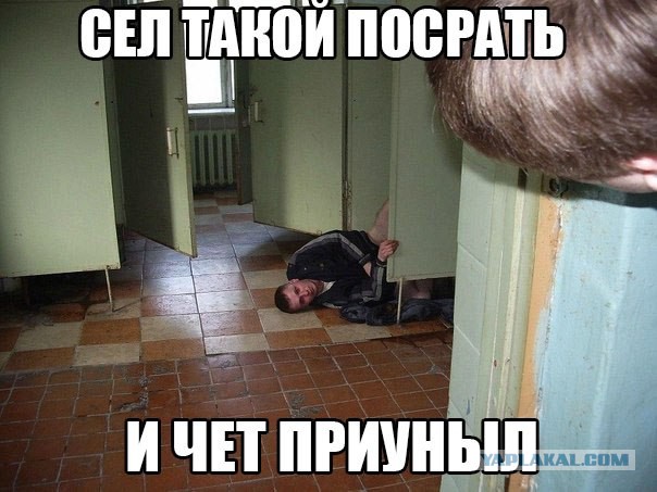 Забавные картинки из Сети