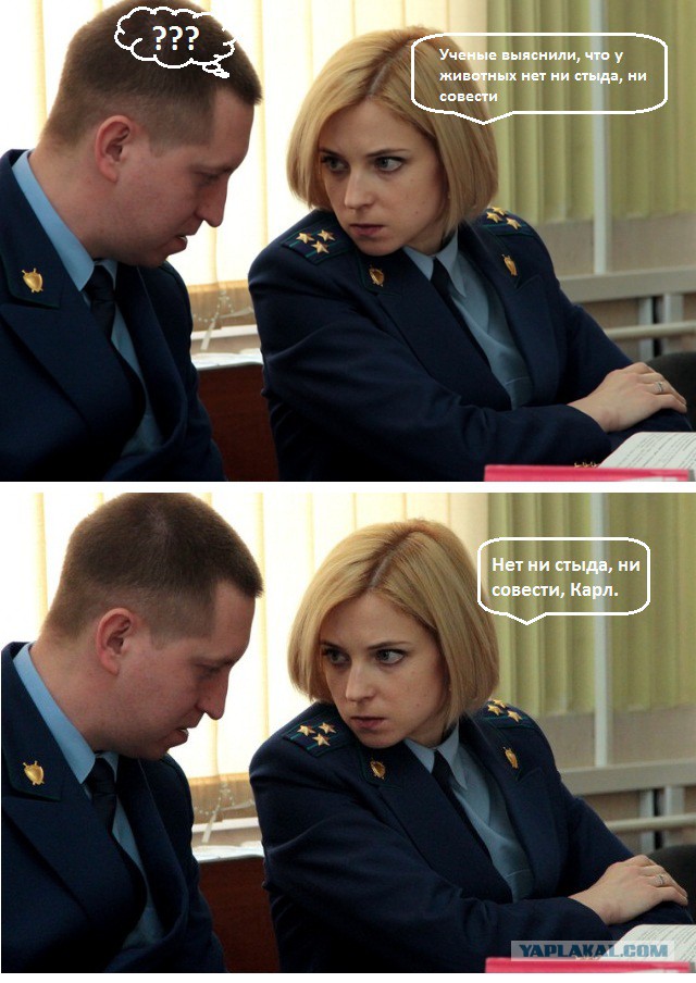 Этот взгляд!