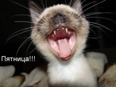 Когда кто-то плюсует твой заминусованый пост