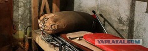 Чем заняться под ядерной волной?