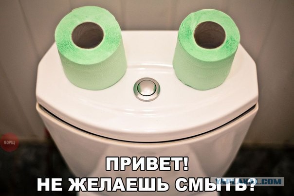 Приколы из сети