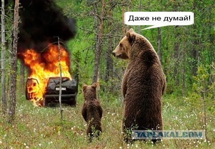 Картинки разные с просторов
