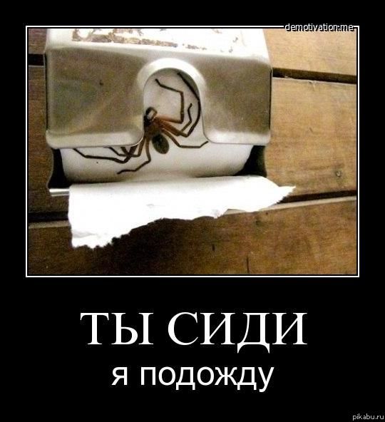 Фобии