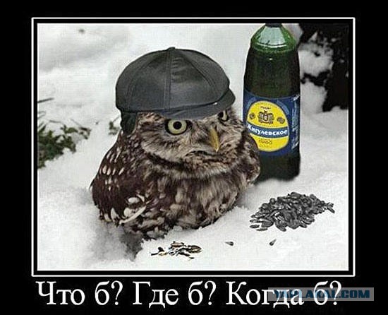 Что? Где? Когда? Красивый вопрос