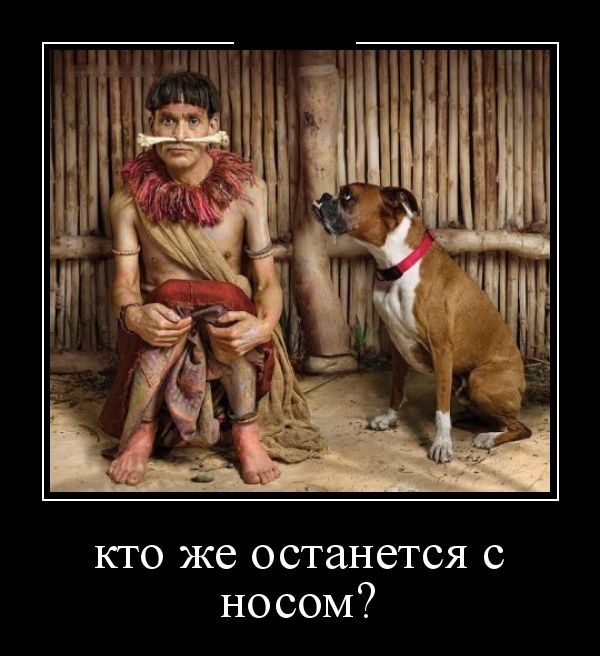 Подборка веселых картинок на выходные