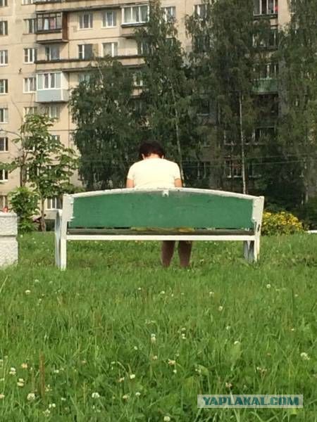 Немного картинок и гифок.