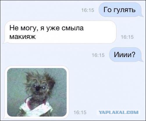 Смешные комментарии из социальных сетей 12.08.2016