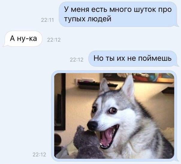 Всячина. Картинки и тексты картинками