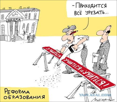 Финские школы поразили московского чиновника