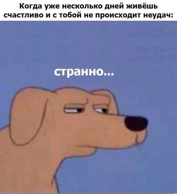 Подборка интересных и веселых картинок