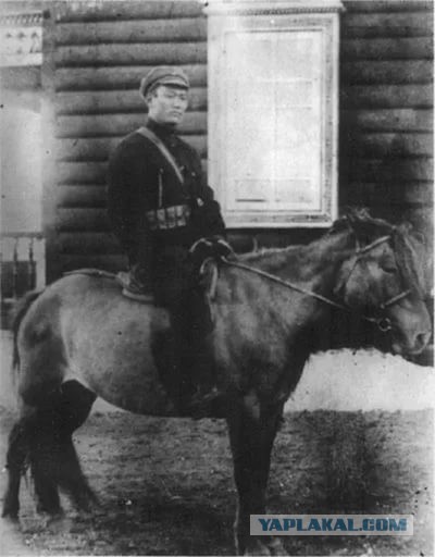 Выживший. Китайская версия.