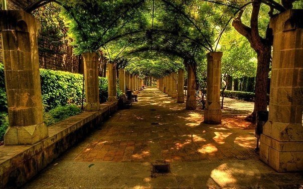 Моменты, запечатлённые на фото и просто позитив 5