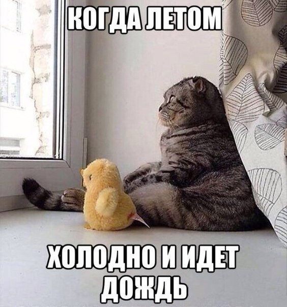 Очередная подборка школьной наркомании
