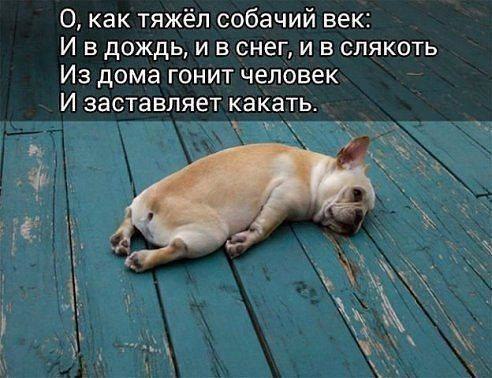 Пятничный абсурд и деградация приветствует вас!