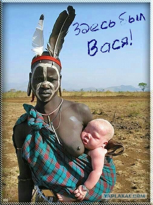 Депутат Госдумы попросила телеканалы меньше показывать россиянам заграничные красоты