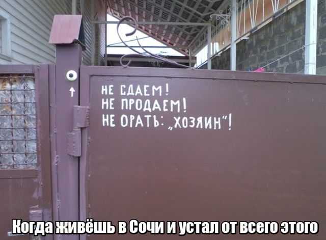 Подборка интересных и веселых картинок