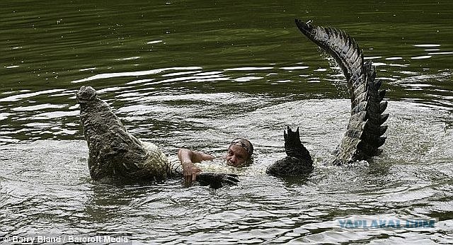 Данди-крокодил отдыхает!