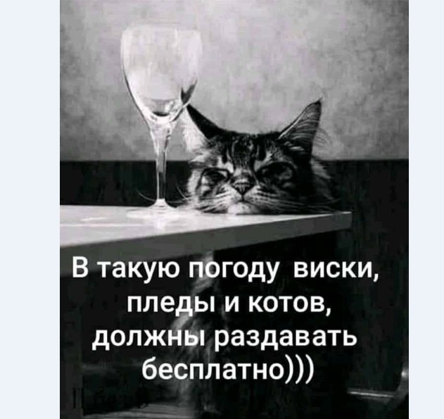 С новым годом! Картинки и мемы для настроения 02.01.2021