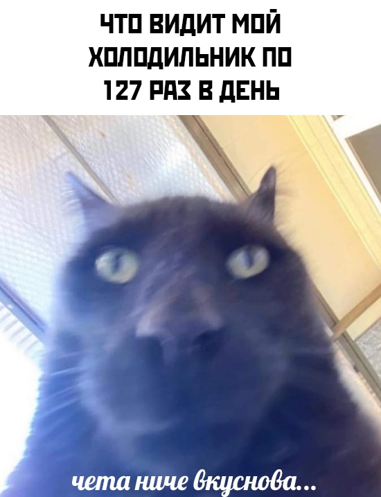 Весёлый полтишок 13.02