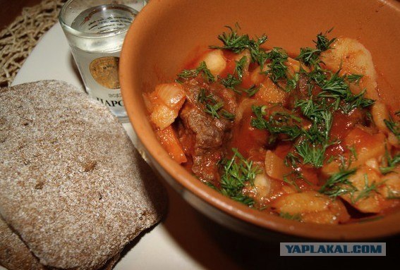 Чинахи по Дженибековски.