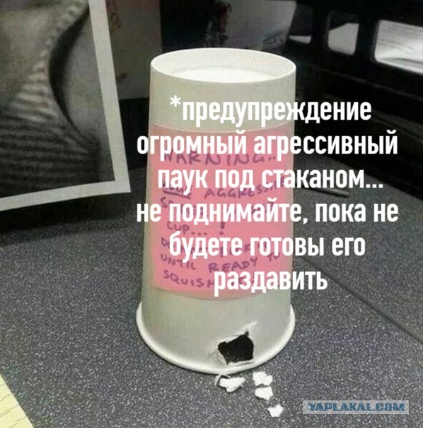 Весёлый полтишок 16.10