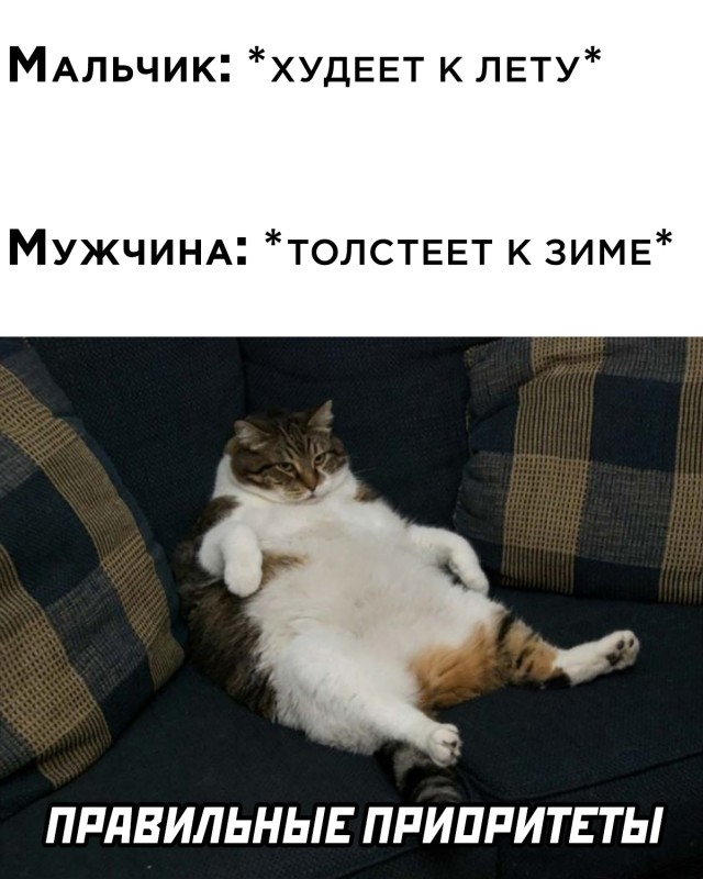 Так себе картинки 18.10.21