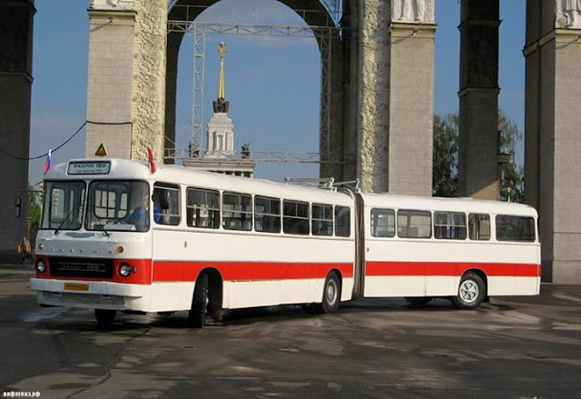 Икарус «Ikarus» на службе в Совтрансавто