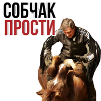 Признанный иноагентом журналист Александр Невзоров объявлен в розыск