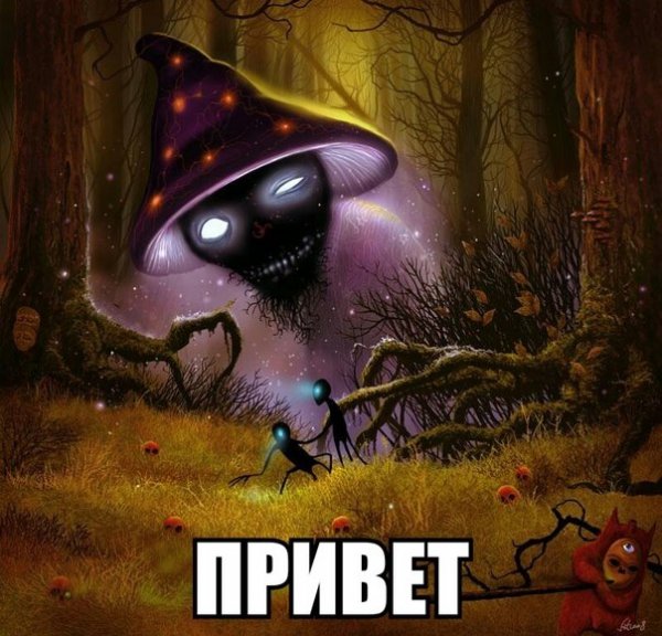 Прикольные и просто красивые картинки 13.10.2022