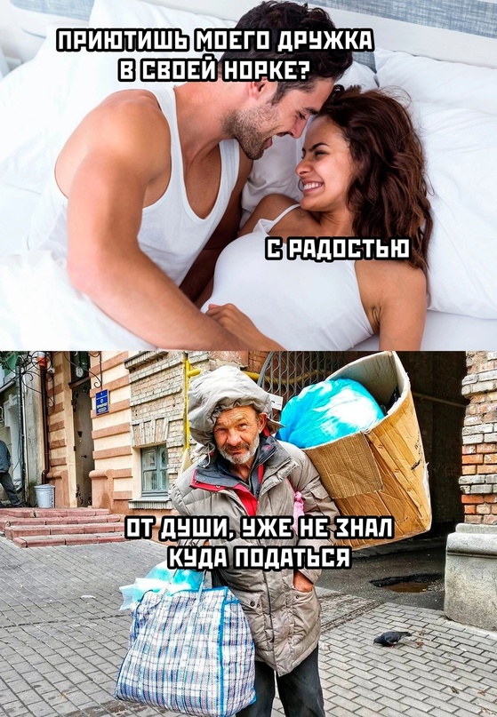 Весёлый полтишок 03.04.23