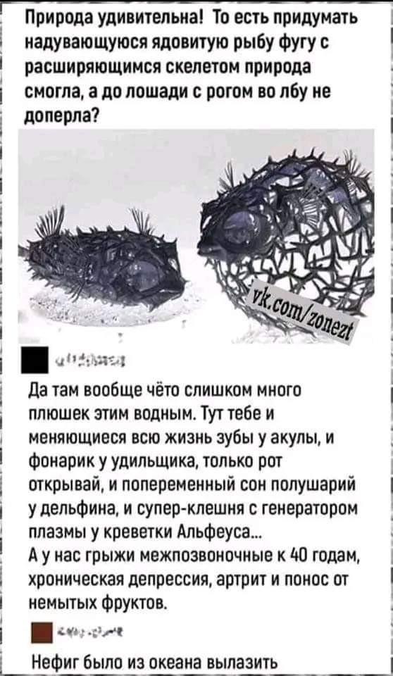 Забавные картинки, шутки из этих ваших интернетов