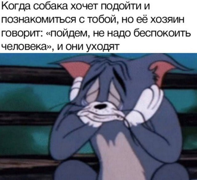 Весёлый полтишок 04.03.24