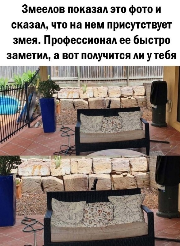 Так себе картинки 05.06.24