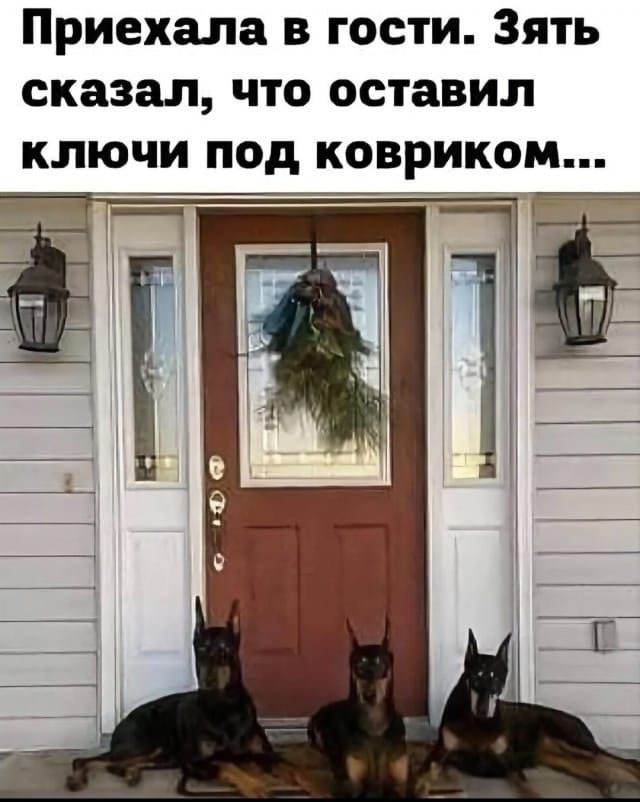 Так себе картинки 31.03.25