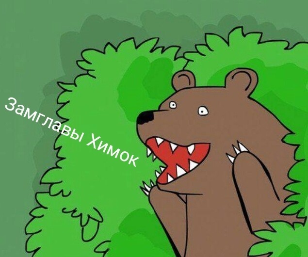 Задержана замглавы Химок Ирина Жданкина