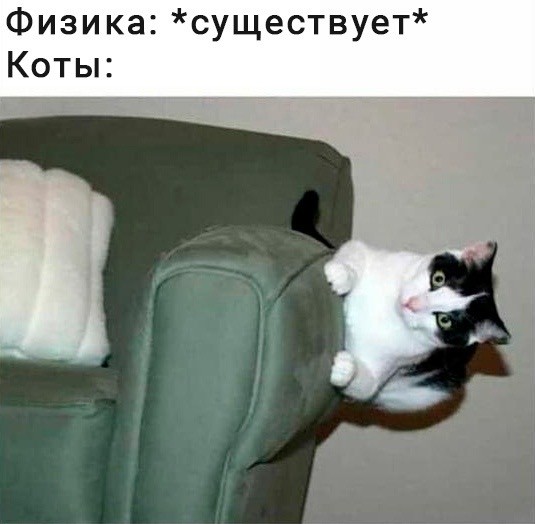К котовторнику: подборка картинок-баянов с котиками и про котиков. Выпуск 17