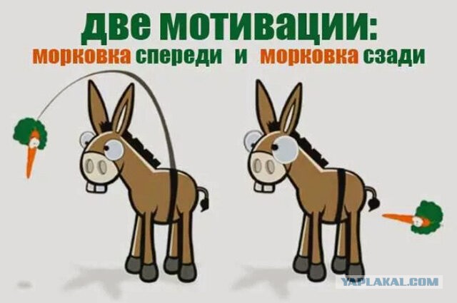Лохотрон азон