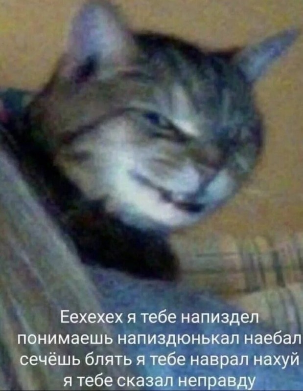 Дейзи - первая гражданская собака, завоевавшая Медаль Почета в Нью-Йорке!