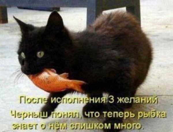 Сбросил клеймо⁠