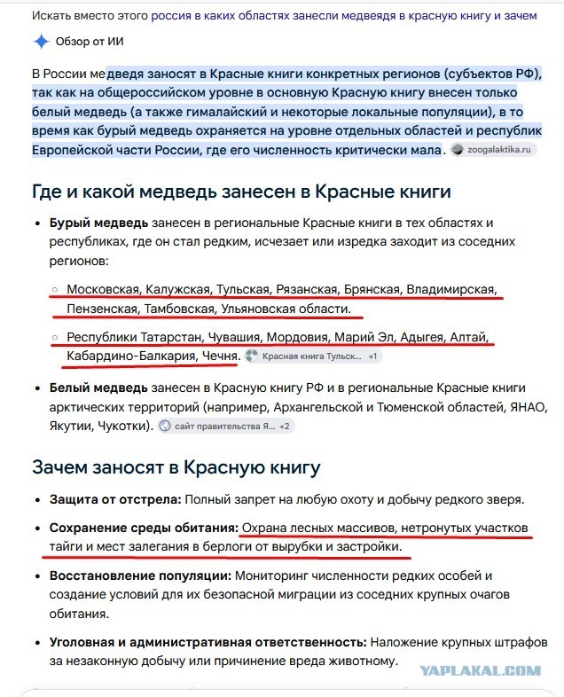 Медведей заметили расхаживающими по улице, пока школьники добирались на уроки в Бурятии