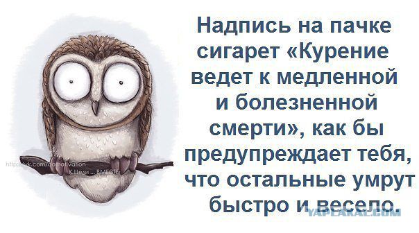 Как обойти табачный закон