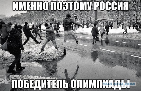 Веселые картинки