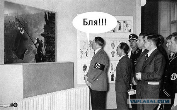 Смешные комментарии из социальных сетей 11.11.2014