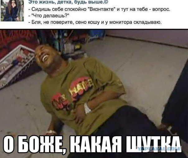 Веселые картинки
