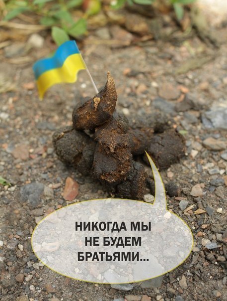 Колонна нетехники ВСУ подорвалась на мине ДНР