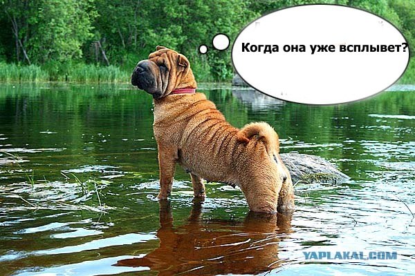 Сила трения, бессердечная ты сука!